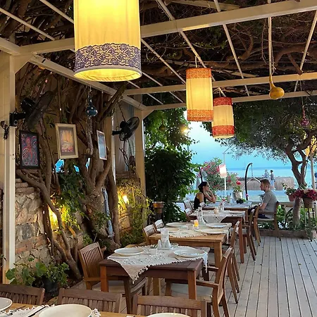 Oyster Residences - Adult Only