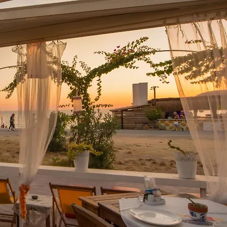 오이스터 - 성인 전용