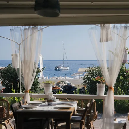 오이스터 - 성인 전용