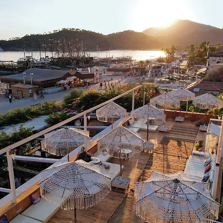 오이스터 - 성인 전용