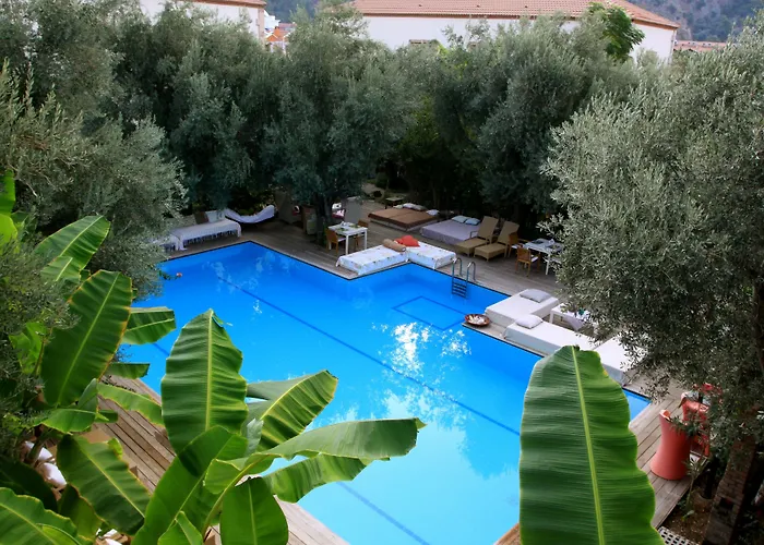 Hotell Oyster Residences - Adult Only 3*