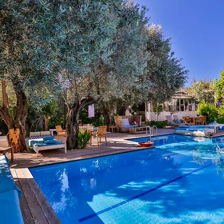 Oyster Residences - Adult Only Hotel Ölüdeniz