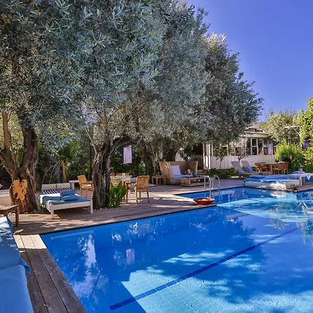 Oyster Residences - Adult Only Hotel Ölüdeniz