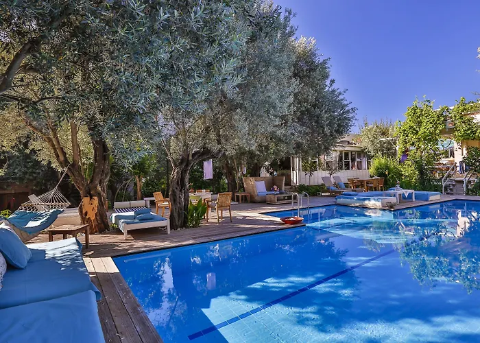 Oyster Residences - Adult Only Hotel Oludeniz