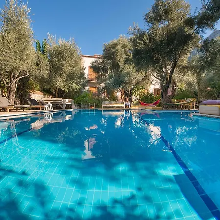 Oyster Residences - Adult Only Szálloda 3*