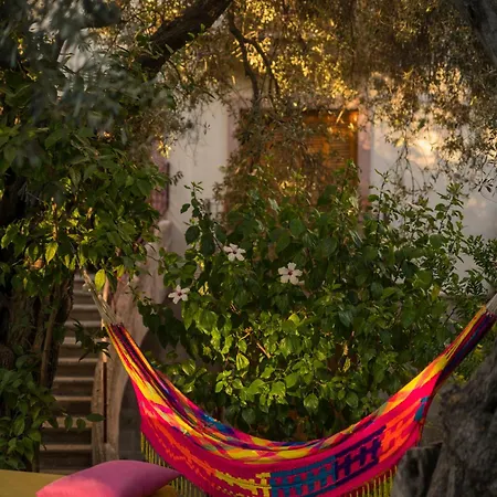 Oyster Residences - Adult Only 3*