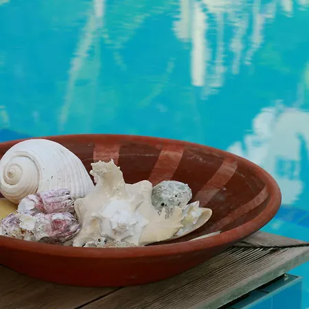 Szálloda Oyster Residences - Adult Only Oludeniz